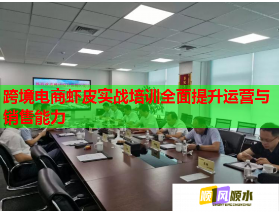 跨境电商虾皮实战培训全面提升运营与销售能力