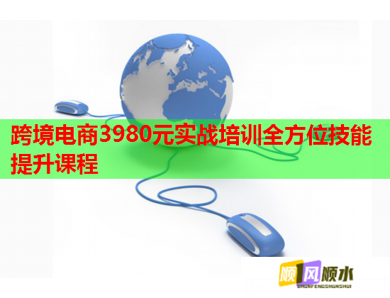 跨境电商3980元实战培训全方位技能提升课程